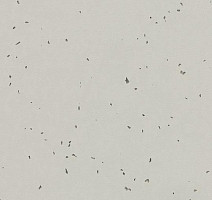 Линолеум Forbo Sphera Energetic 50211 stone фото 1 | FLOORDEALER